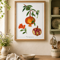 Pomegranate Cross Stitch Pattern, Fruit Embroidery, Kitchen Wall Decor, Flower Cross-stitch, Pattern Keeper, Digital PDF Chart