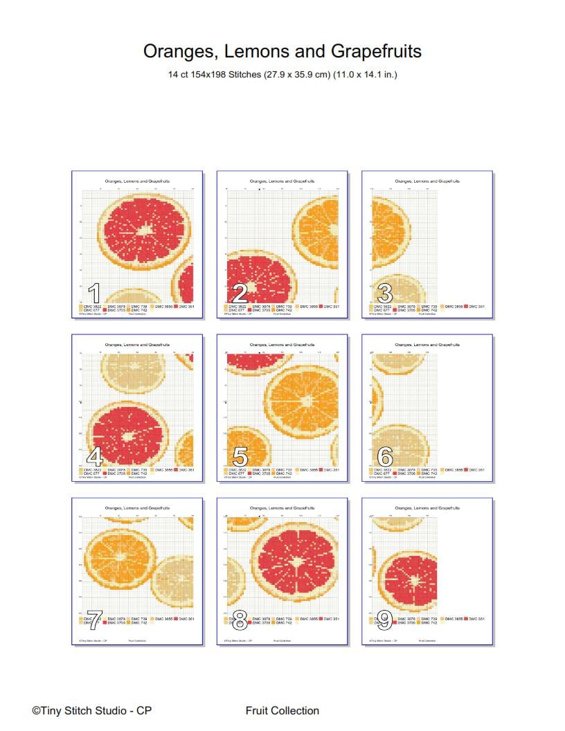 Citrus Fruit Cross Stitch Pattern PDF digital pattern preview